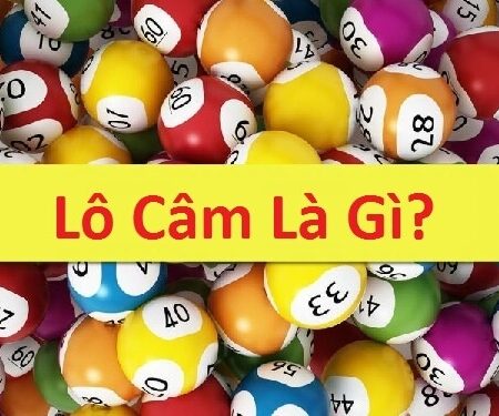 Đầu lô câm đánh con gì? Bí kíp chọn số hiệu quả 2025