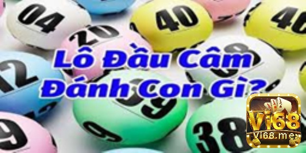 Tìm hiểu thông tin về nguồn gốc của lô đầu câm?