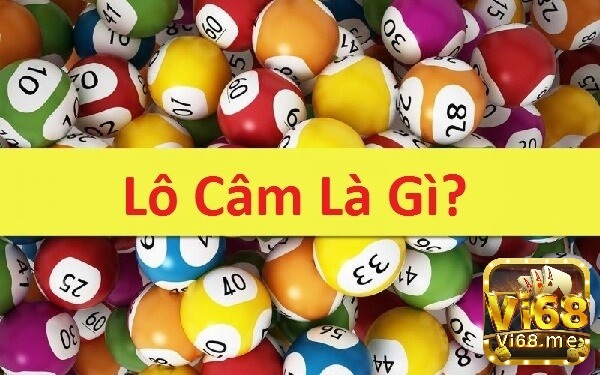 Phương pháp xác định đầu lô câm đánh con gì?