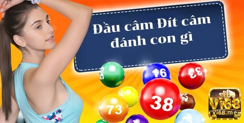 Những ưu điểm nổi bật của đầu lô câm miền Bắc