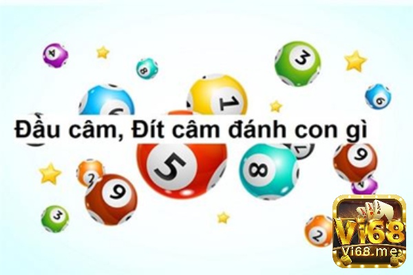 Vai trò của đầu lô câm miền Trung